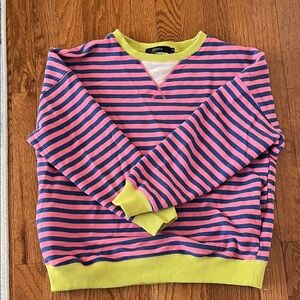 Pink and Blue Striped Sweatshirt